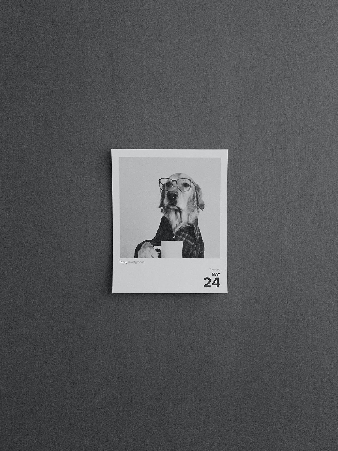 foto verbessern preise